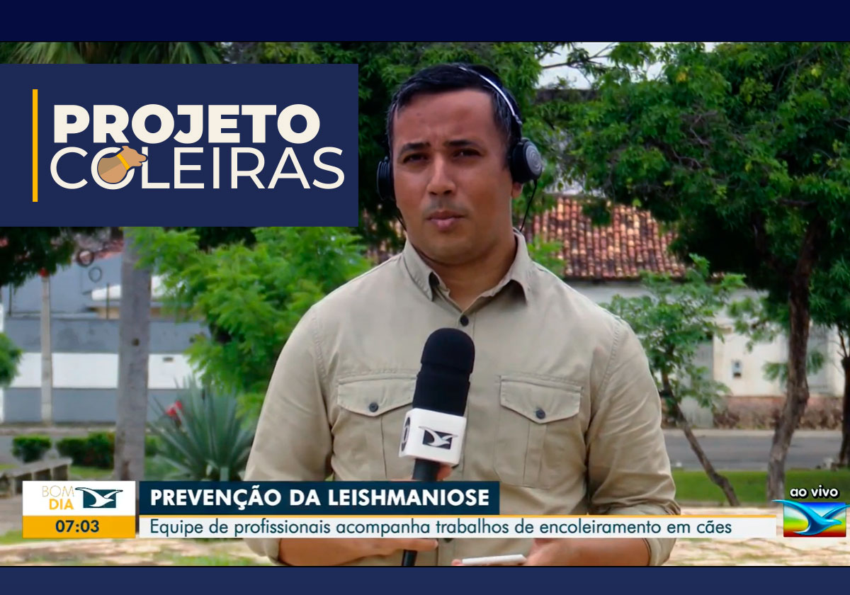 Equipe-de-profissionais-da-Saúde-acompanha-trabalhos-de-encoleiramento-em-cães-em-Caxias