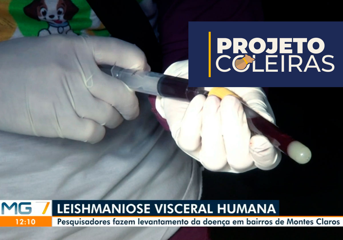 LEISHMANIOSE-VISCERAL-HUMANA-MONTES-CLAROS-MG